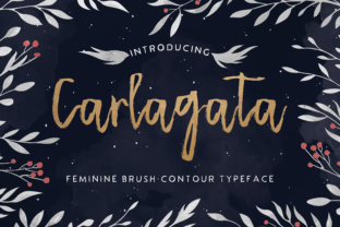 Carlagata: A Casual Handwritten Typeface for Small Business Branding