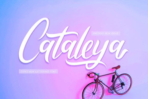 Cataleya: A Modern Script Font for Editorial Elegance