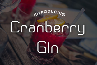 Cranberry Gin Font for Modern Craft & Printable Design