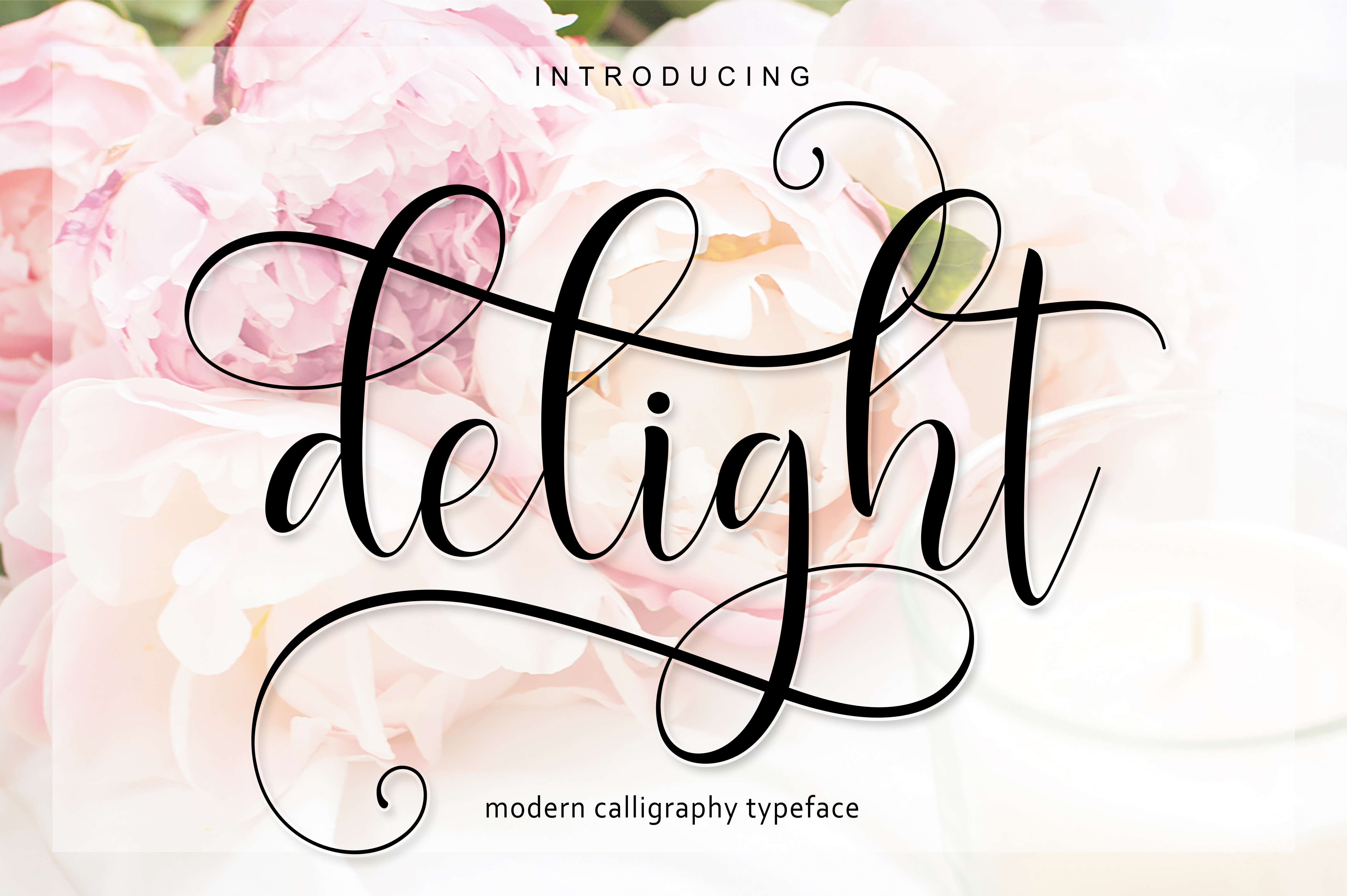 Delight Script: A Designer's Review of This Elegant Font