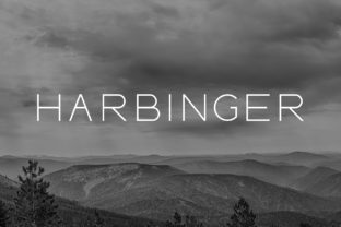 Harbinger: The Wide Sans Serif Font for Modern Display Design