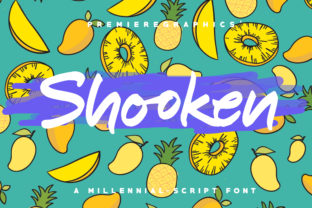 Shooken Script Font for Handmade Labels and Branding