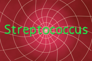 Streptococcus: A Playful Font for Makers and Shops