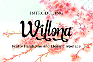 Willona Font: Handsome Calligraphy Script for Visual Storytelling